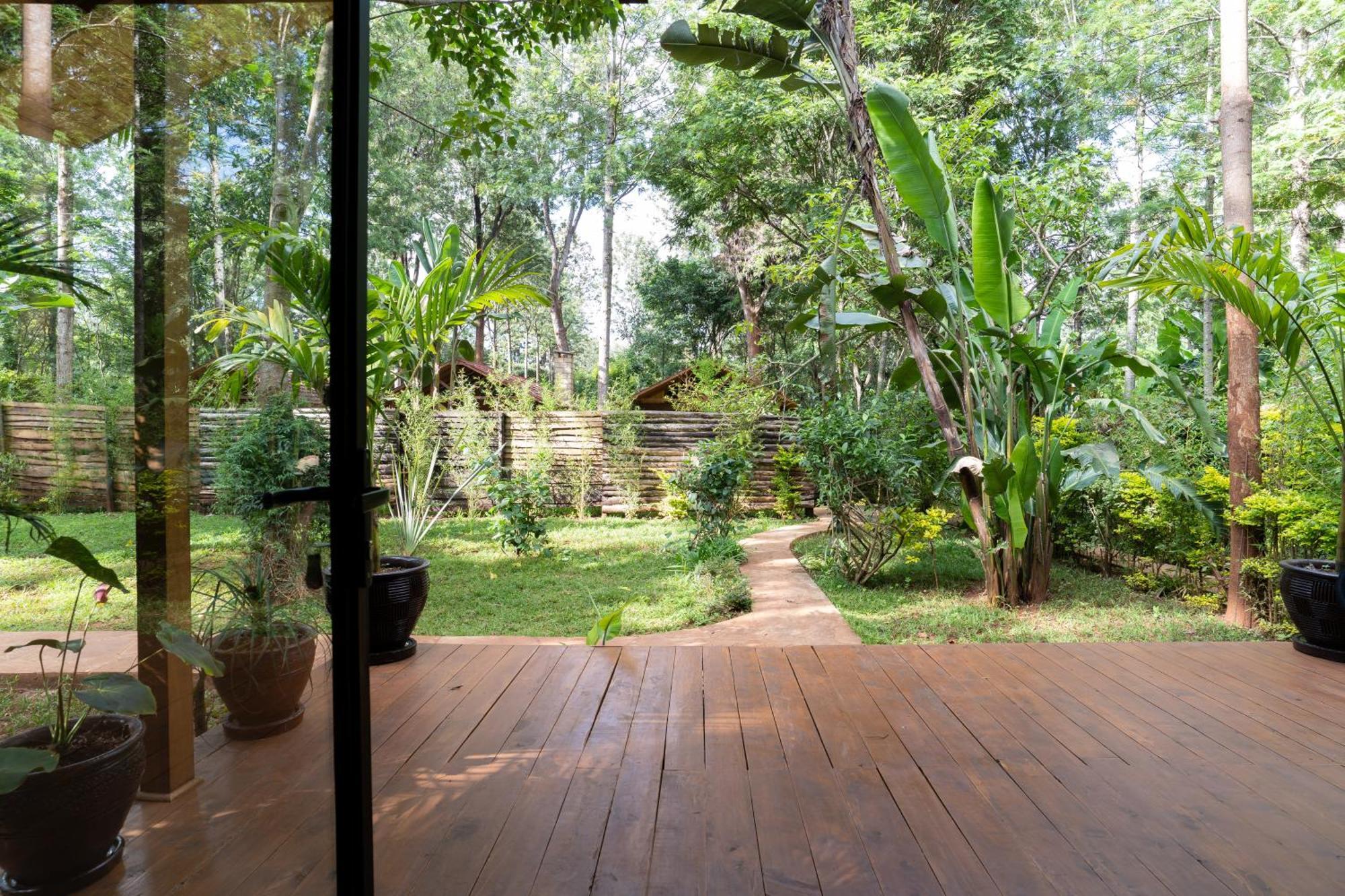 Апартаменты The Jungle Oasis With Heated Pool Найроби Экстерьер фото
